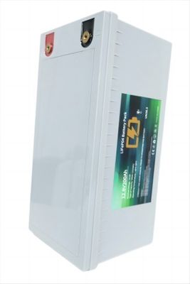 Explosionproof LifeP04 Lithium Battery 200AH With Built In BMS