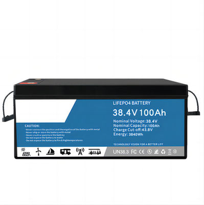 0.2C Discharging LifeP04 Lithium Battery 100ah Multifunctional For Data Center Backup
