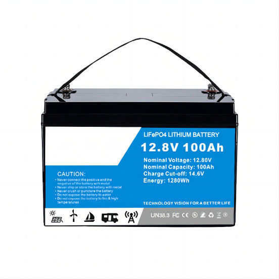 High Power Lifep04 Lithium Ion Battery 100A With BMS For RV/Electric Bike